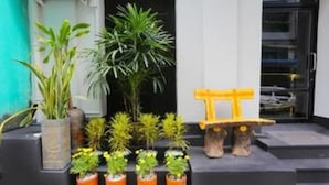 Une entrée moderne, agrémentée de plantes en pot et d’un banc en bois.
