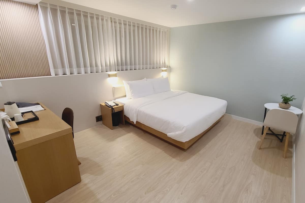 A modern hotel room with a large bed, bedside tables, a desk, a chair, a small table with a plant, and a TV mounted on the wall.