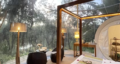 Bubble Lodge Bois Chéri
