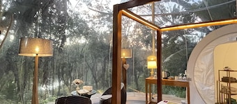 Bubble Lodge Bois Chéri
