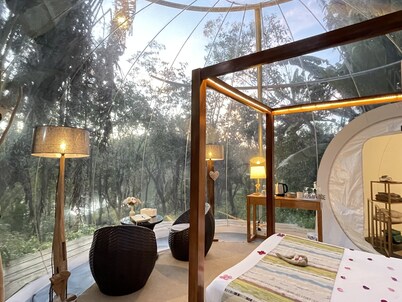 Bubble Lodge Bois Chéri
