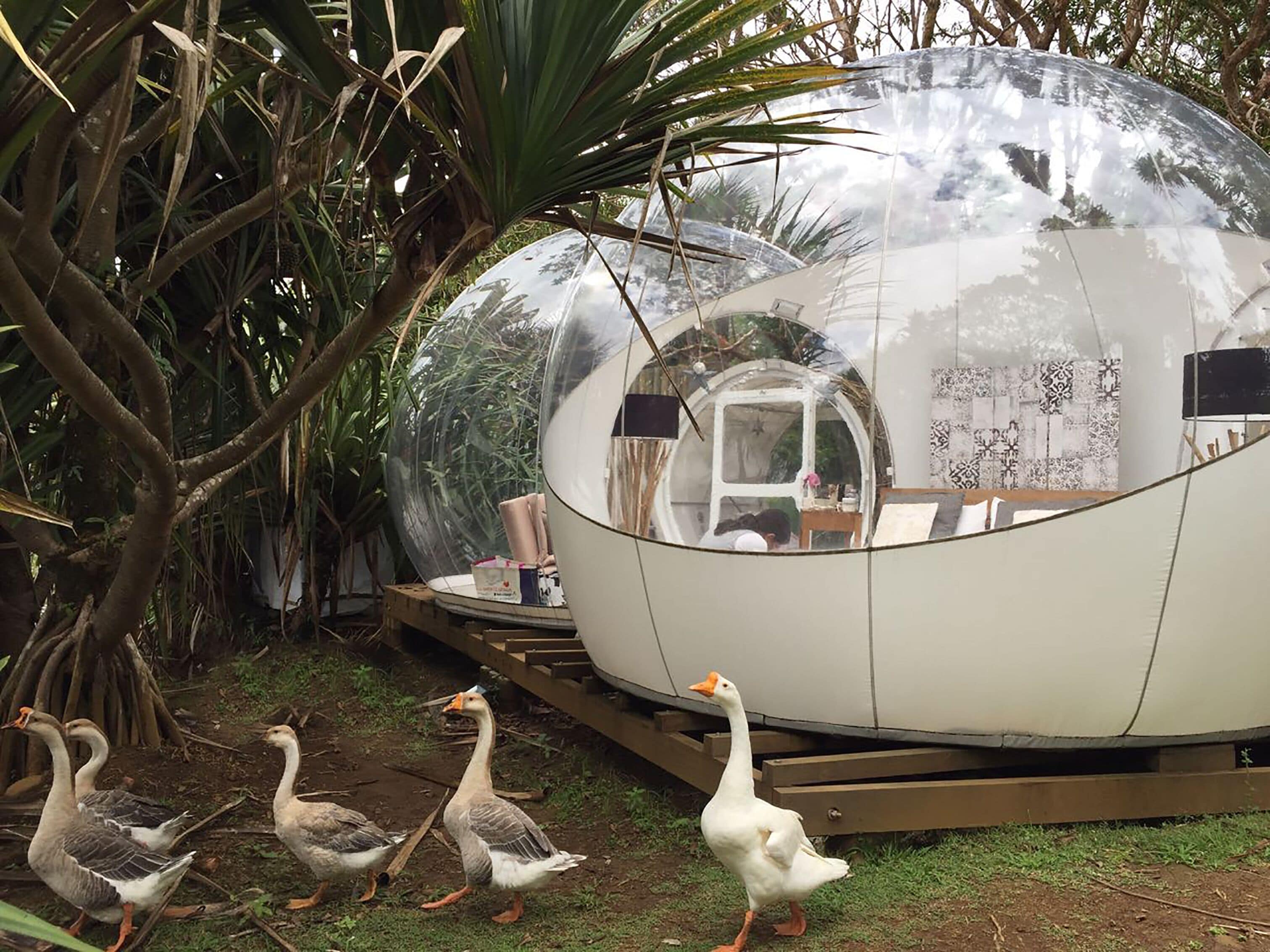 bubble vanilla | 1 bedroom, premium bedding, individually decorated, bed sheets