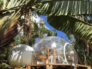 1 bedroom, premium bedding, individually decorated, bed sheets - Bubble Lodge Bois Chéri (Bois Cheri)