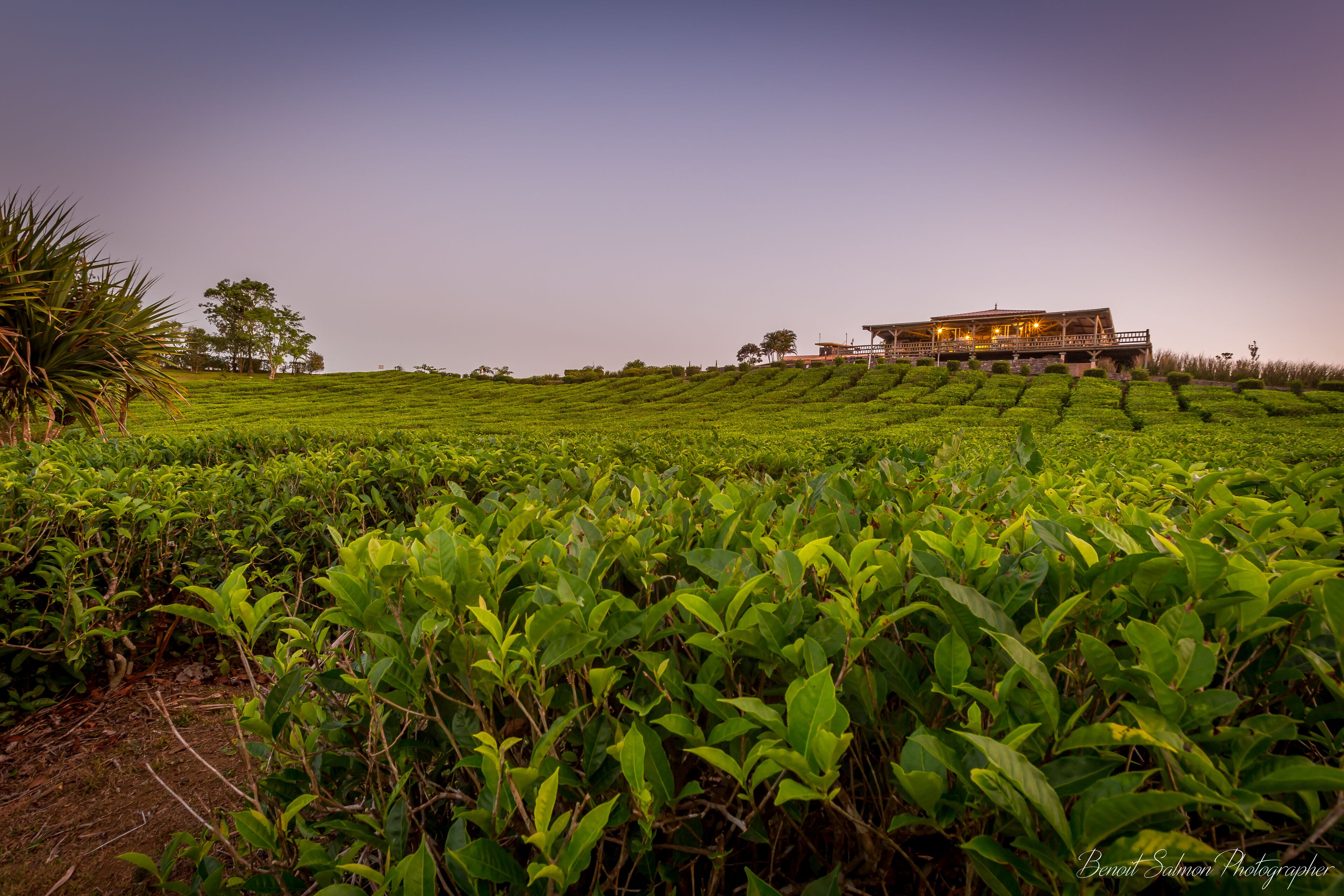 breakfast, lunch, dinner served; international cuisine
