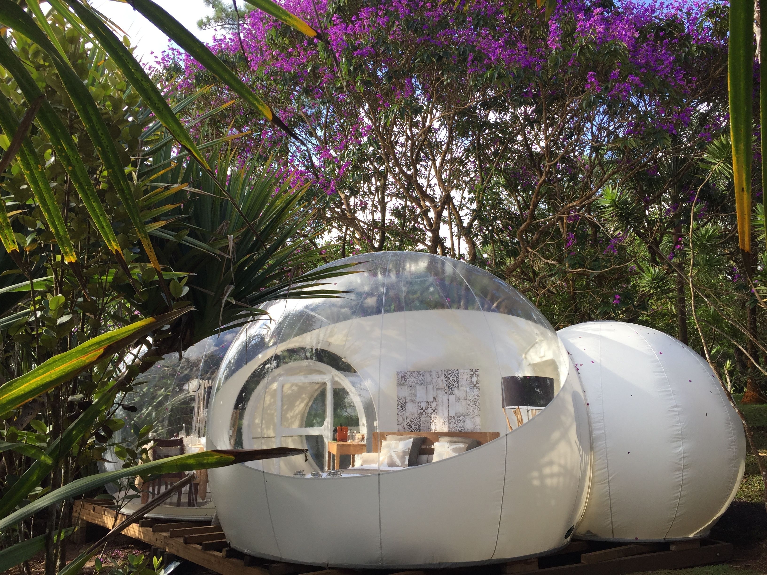 BUBBLE Vanilla | 1 habitación, ropa de cama de alta calidad y decoración personalizada 