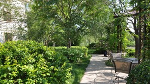 Un sendero empedrado en un jardín con una mesa y sillas de metal, rodeado de abundante vegetación y árboles.