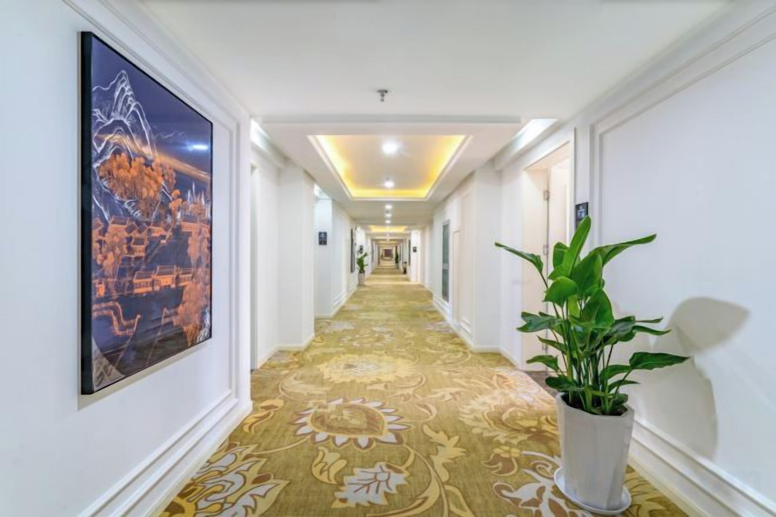Un couloir d’hôtel avec un tapis à motifs, des œuvres d’art encadrées accrochées aux murs et une plante en pot.