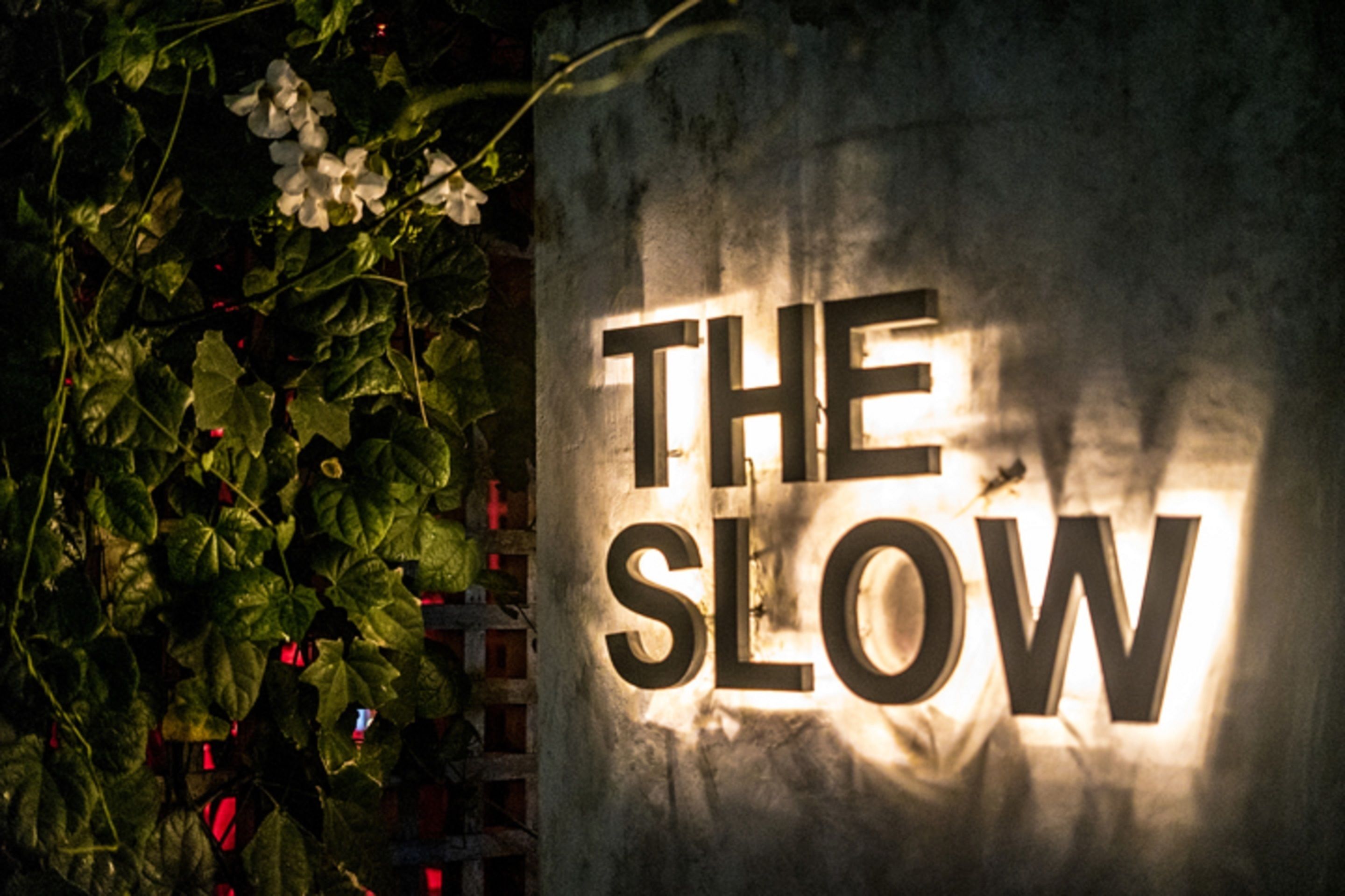 A sign with the words "THE SLOW" illuminated against a wall.