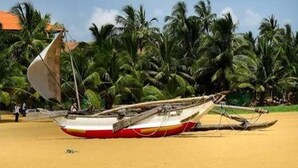 Un bote en una playa arenosa con palmeras al fondo.
