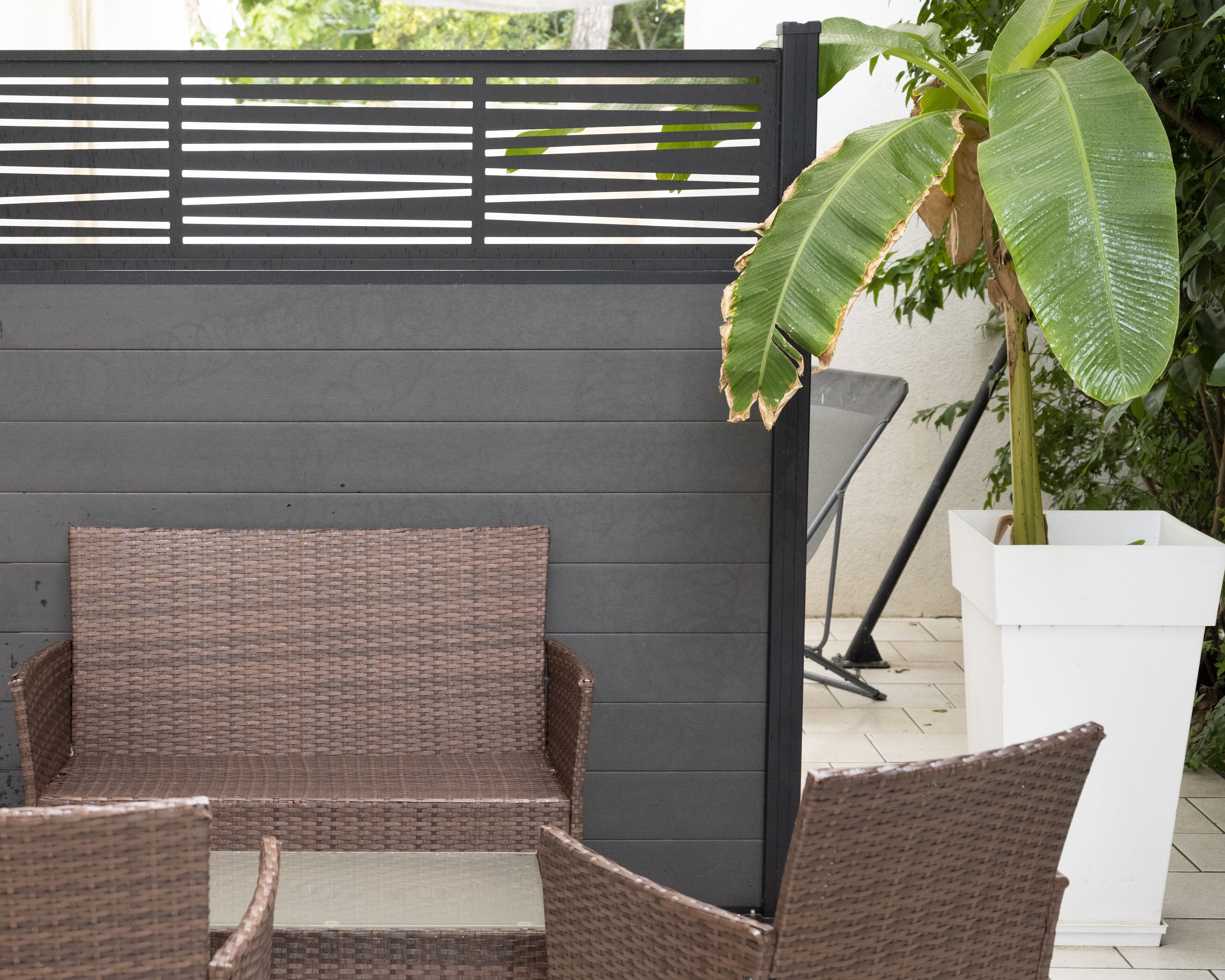 Un patio con mobiliario de mimbre y una planta en maceta.