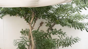 Apartment, 1 Bedroom, Terrace (Mia) | Teres/patio