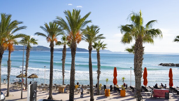 A beachfront restaurant with outdoor seating, palm trees, and ocean views.