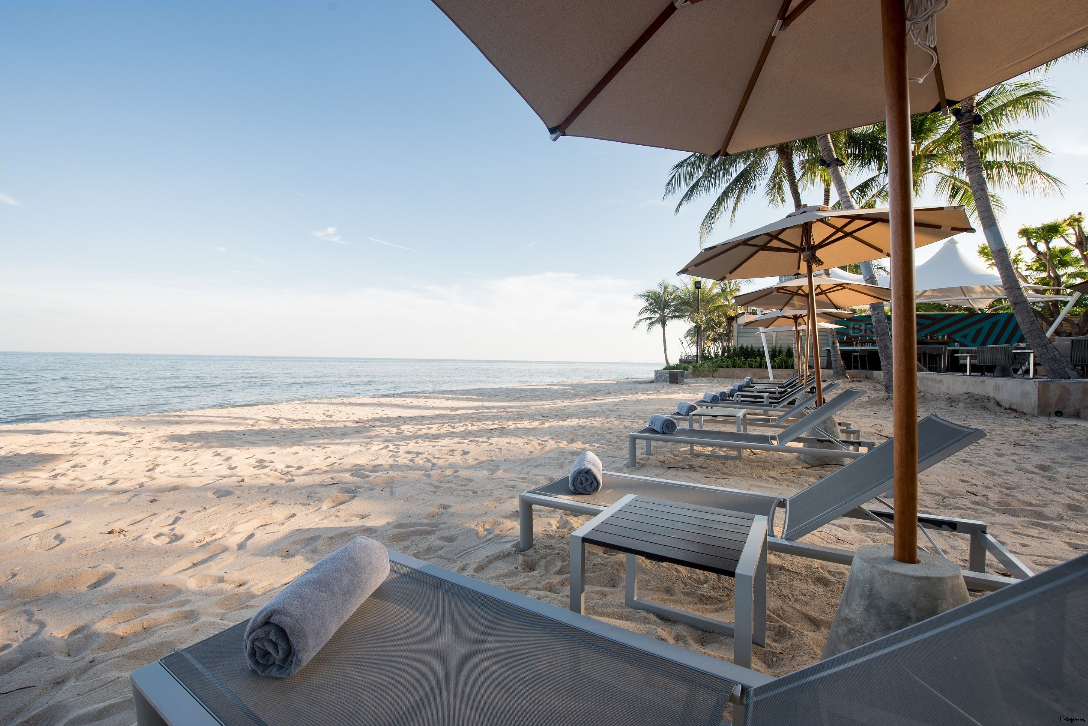 Et loungeområde ved stranden med liggestole og parasoller med udsigt over havet.