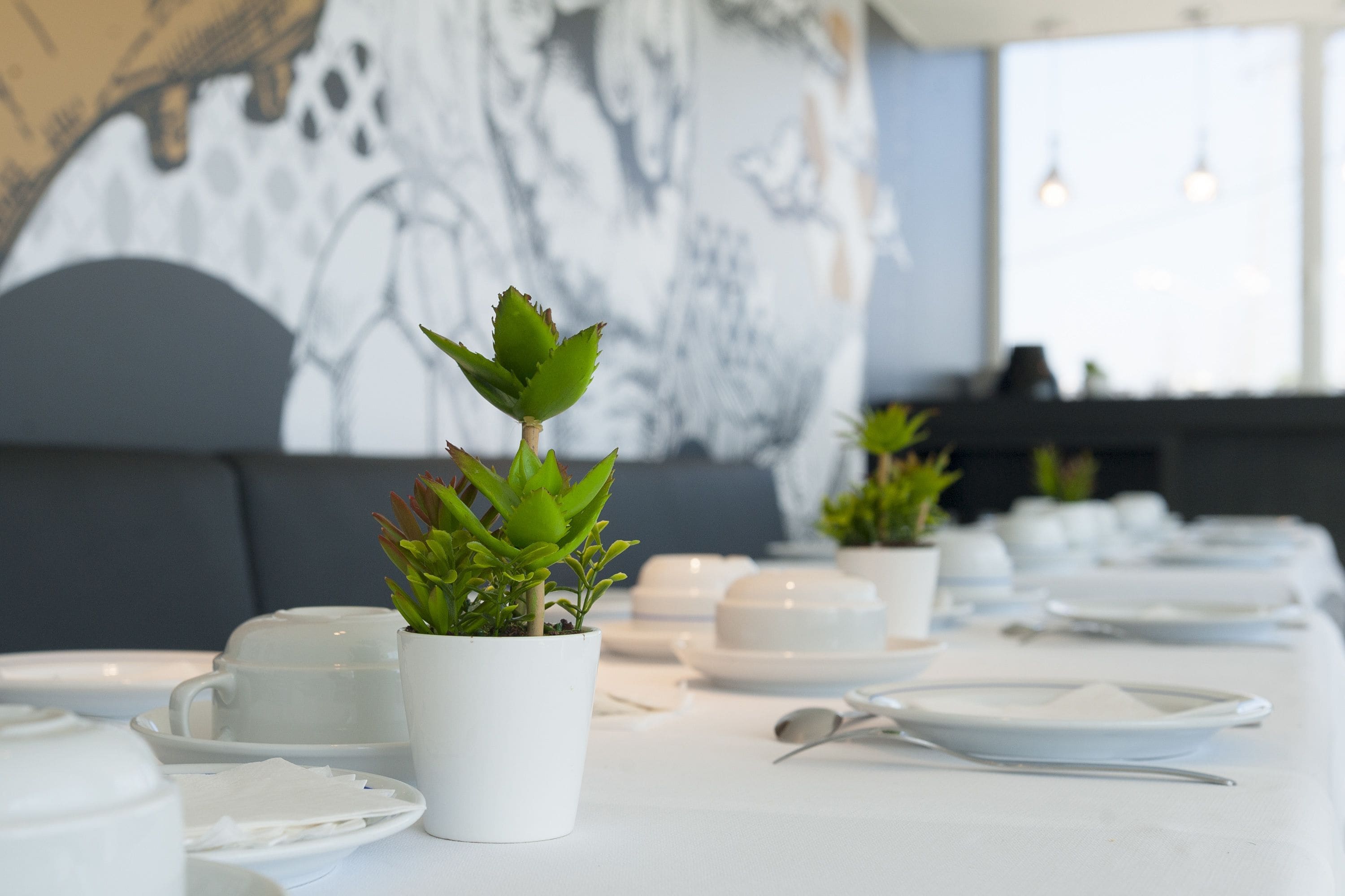 Una mesa de comedor con platos y tazones blancos, y una planta en maceta.