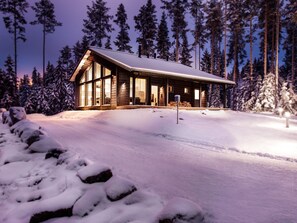 Design Villa, 3 Bedrooms, Sauna - Villa Polaris (Pälkäne)