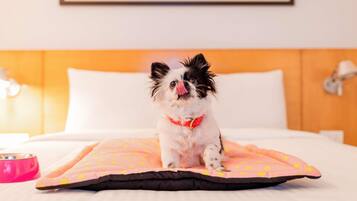 Un perro pequeño sentado sobre una cama con una manta de lunares, un objeto rosa a un lado y un cuadro en la pared.