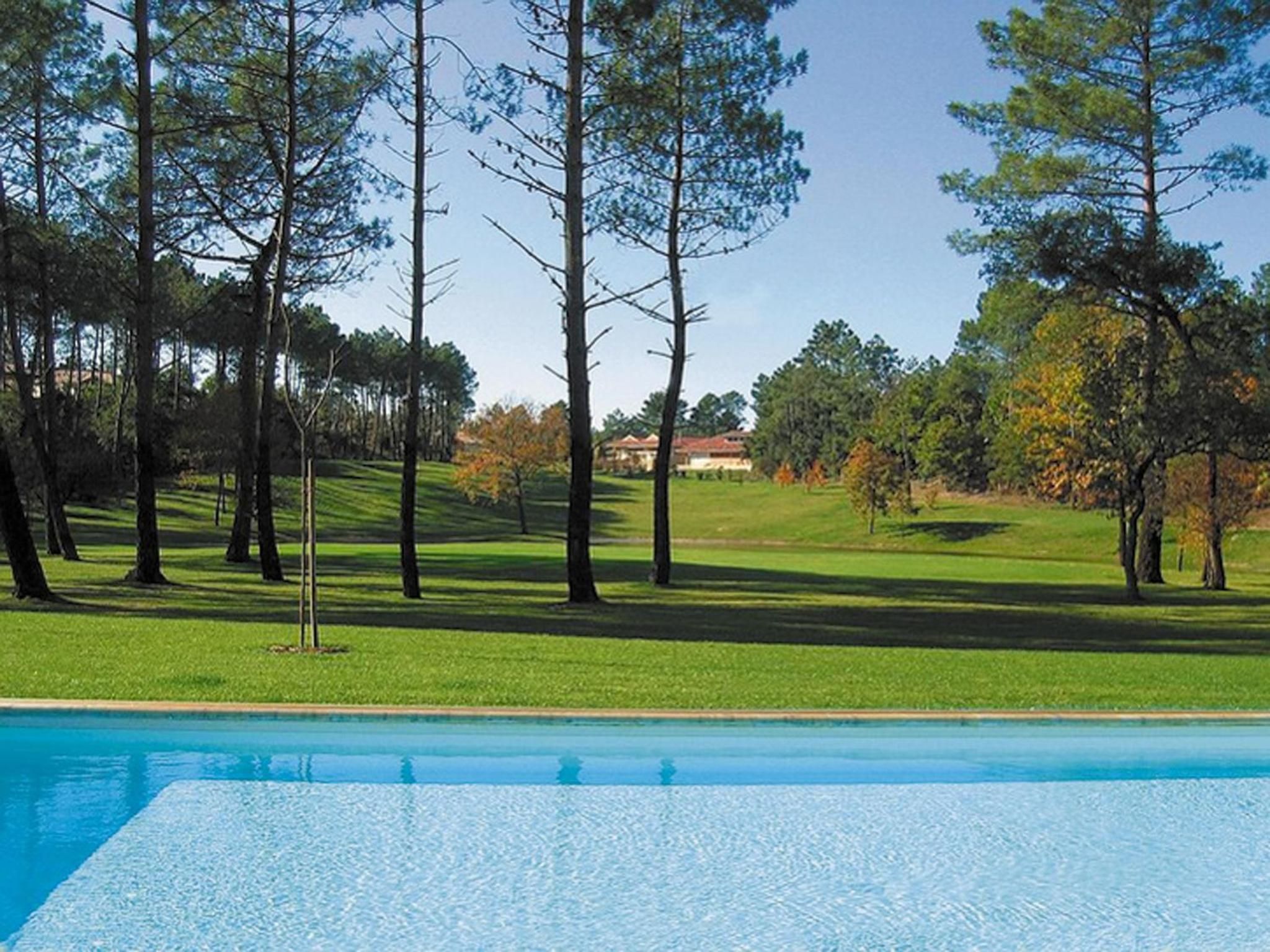 Una piscina con césped y árboles al fondo.