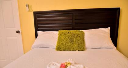 Kingston Sunset Guest Apartment I