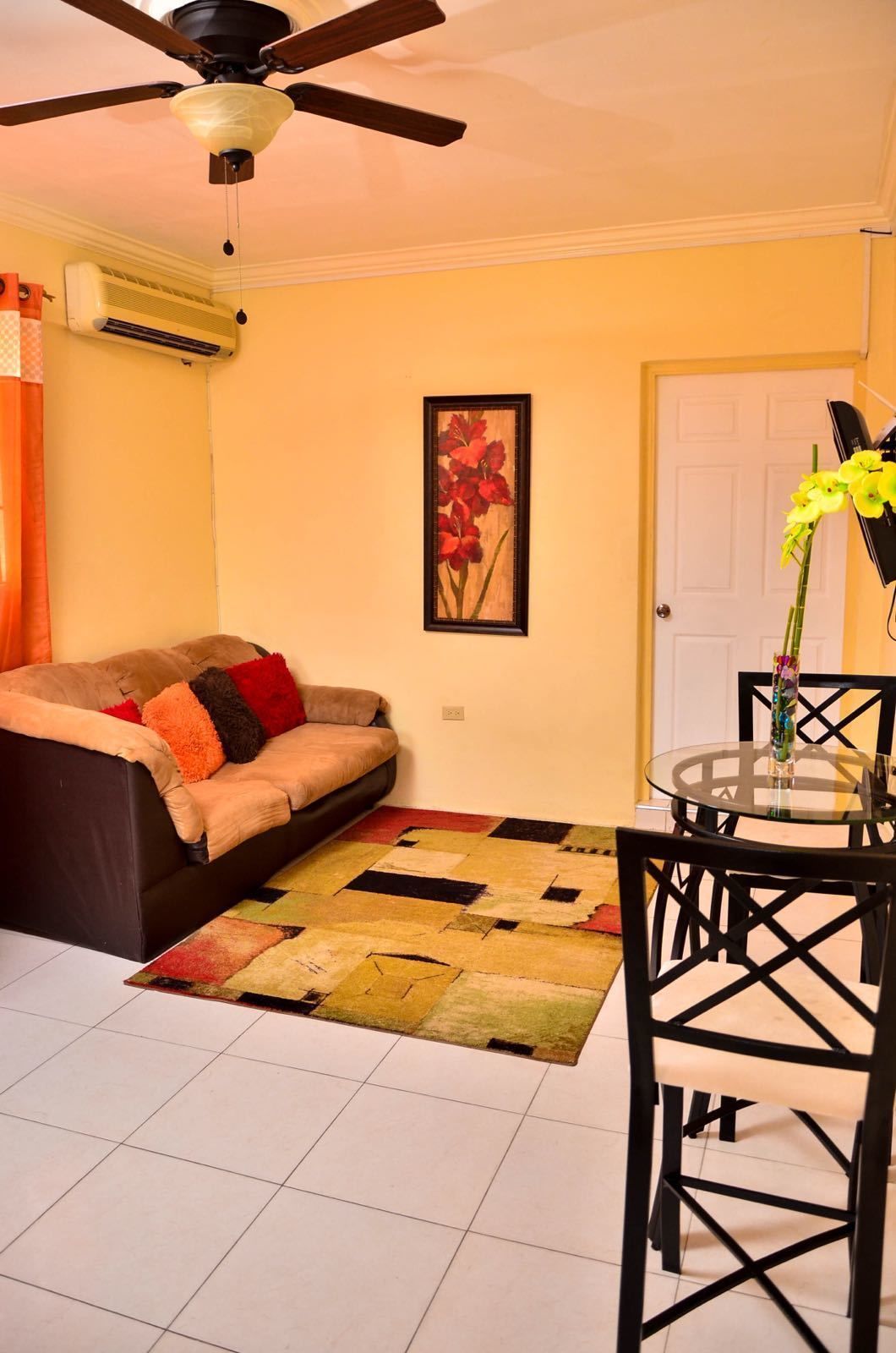 Televisión de pantalla plana, reproductor de DVD