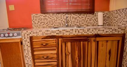 Kingston Sunset Guest Apartment I