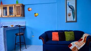 Exclusive Apartment, 1 Bedroom, Kitchen, Mountain View | Living room | 50-inch flat-screen TV with cable channels, TV, DVD player