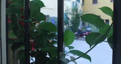 B&B Il Delfino a Bologna