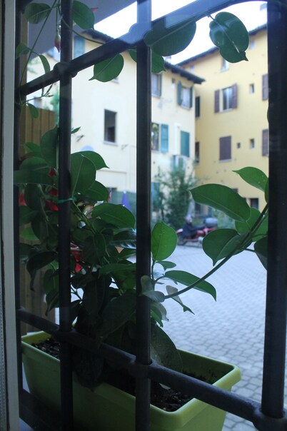 B&B Il Delfino a Bologna