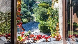A view through a window with a stone frame, leading to a garden with rocks and foliage. - Torre S.Antonio (Santa Caterina dello Ionio)