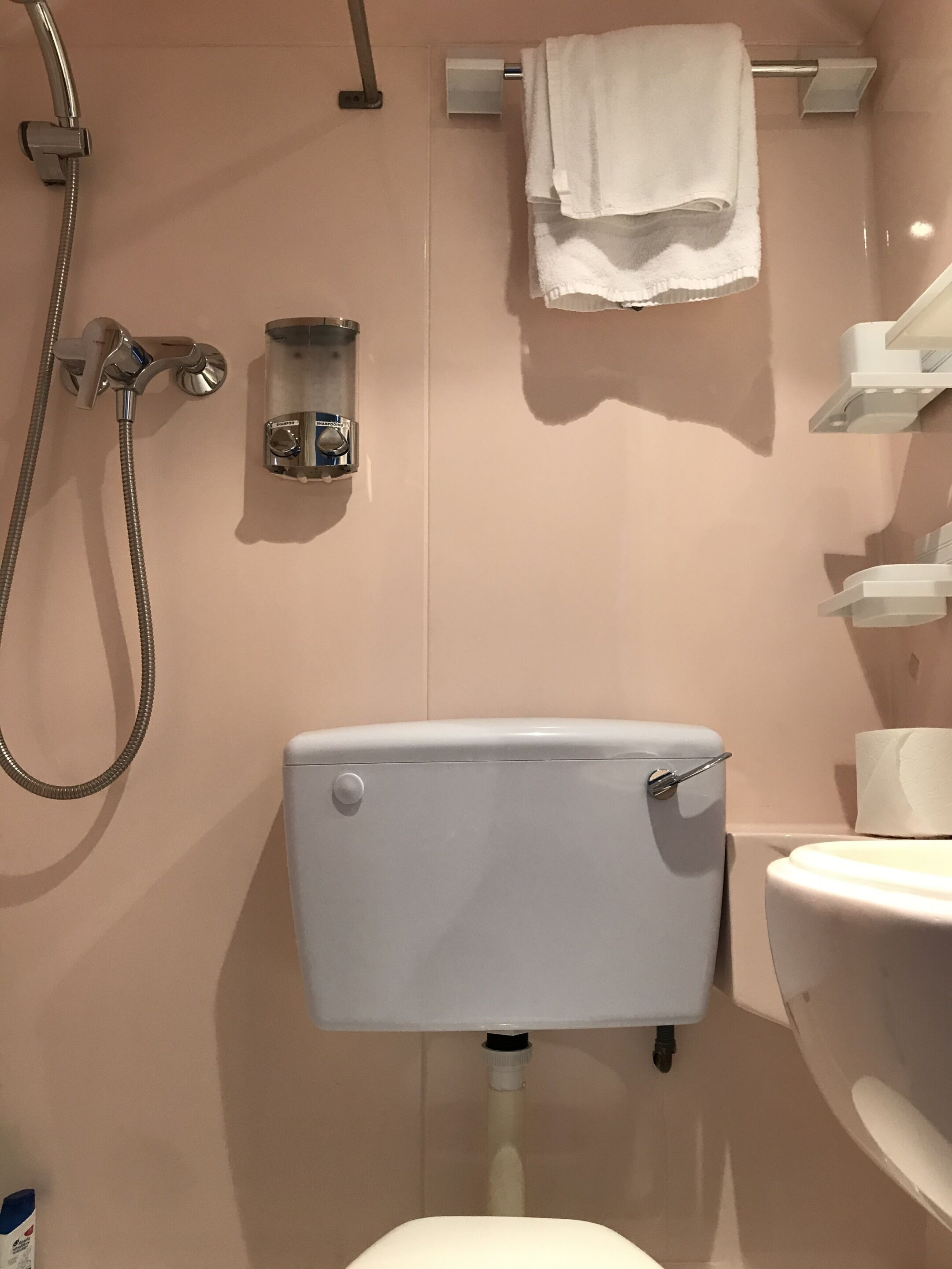 A bathroom with a toilet, a shower, and a towel rack.