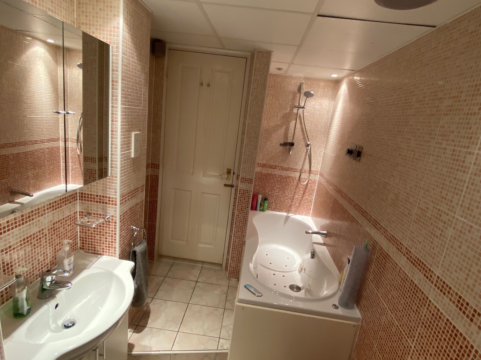 A bathroom with a sink, mirror, shower, and a door leading to another room.