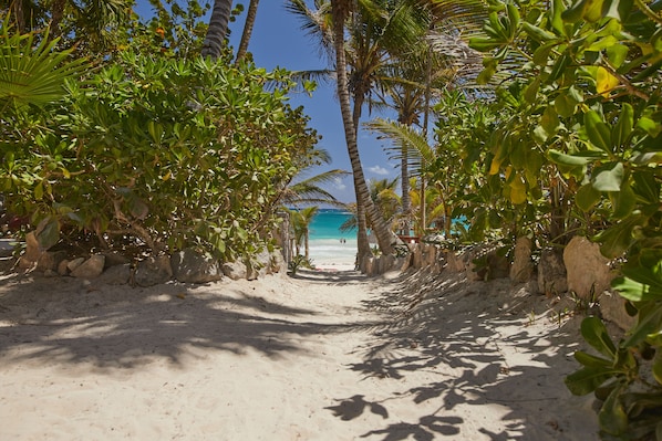 Un sentier sablonneux bordé d’une végétation luxuriante qui mène à une plage.