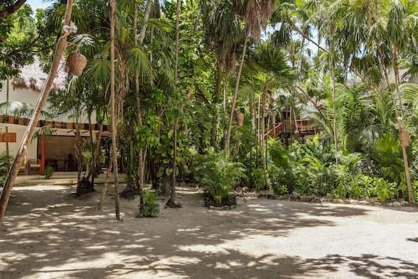 Un jardin tropical avec des palmiers, un sentier et un bâtiment doté d’un toit de chaume.