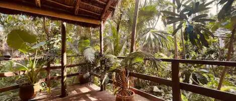 A covered outdoor area with a wooden deck, surrounded by lush tropical vegetation.