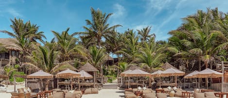 Bar sur la plage