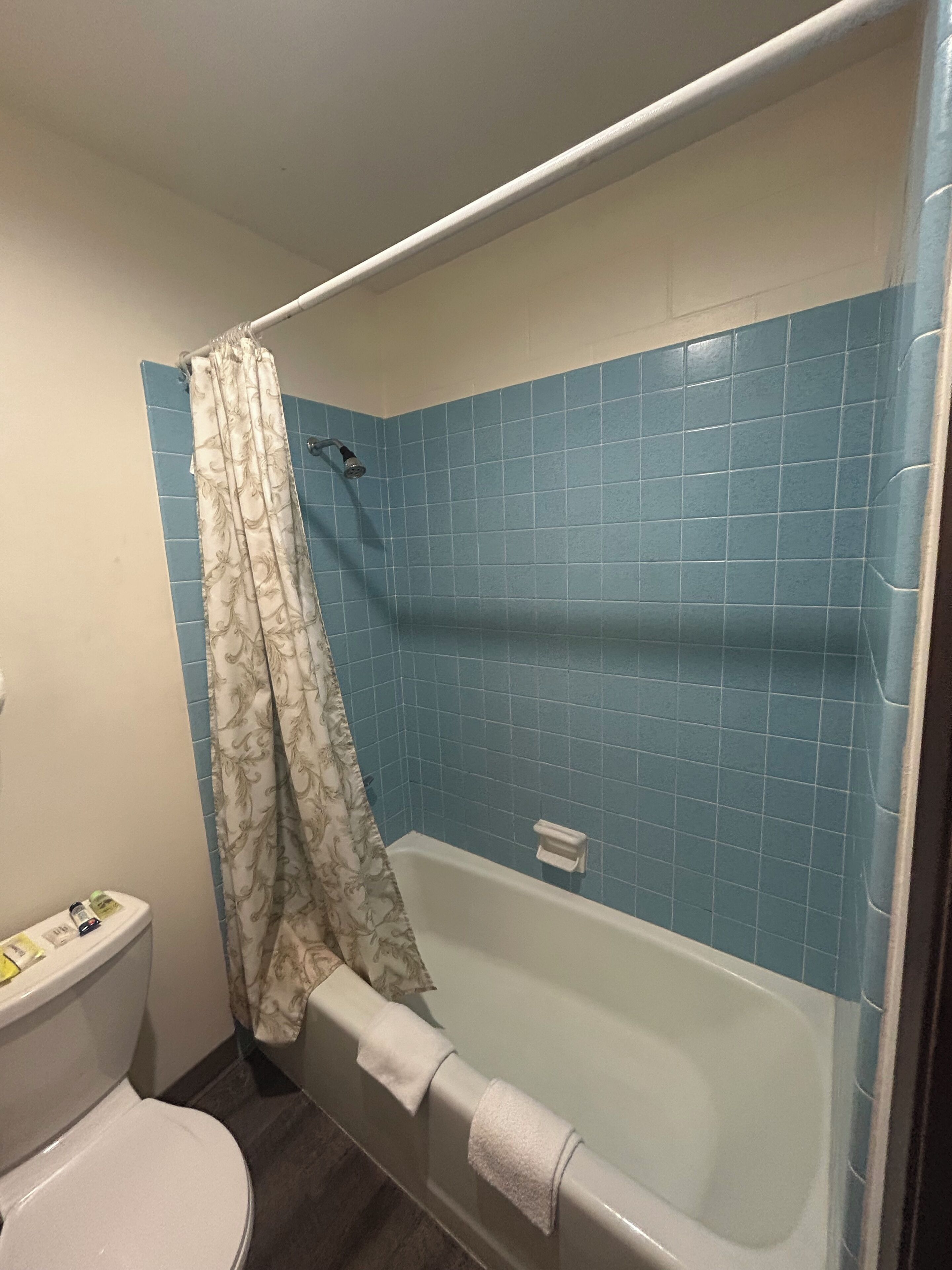 Une salle de bain avec une baignoire, des toilettes et un rideau de douche.