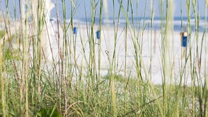 Une tour de surveillance des sauveteurs offrant une vue dégagée sur la plage et l’océan en arrière-plan.