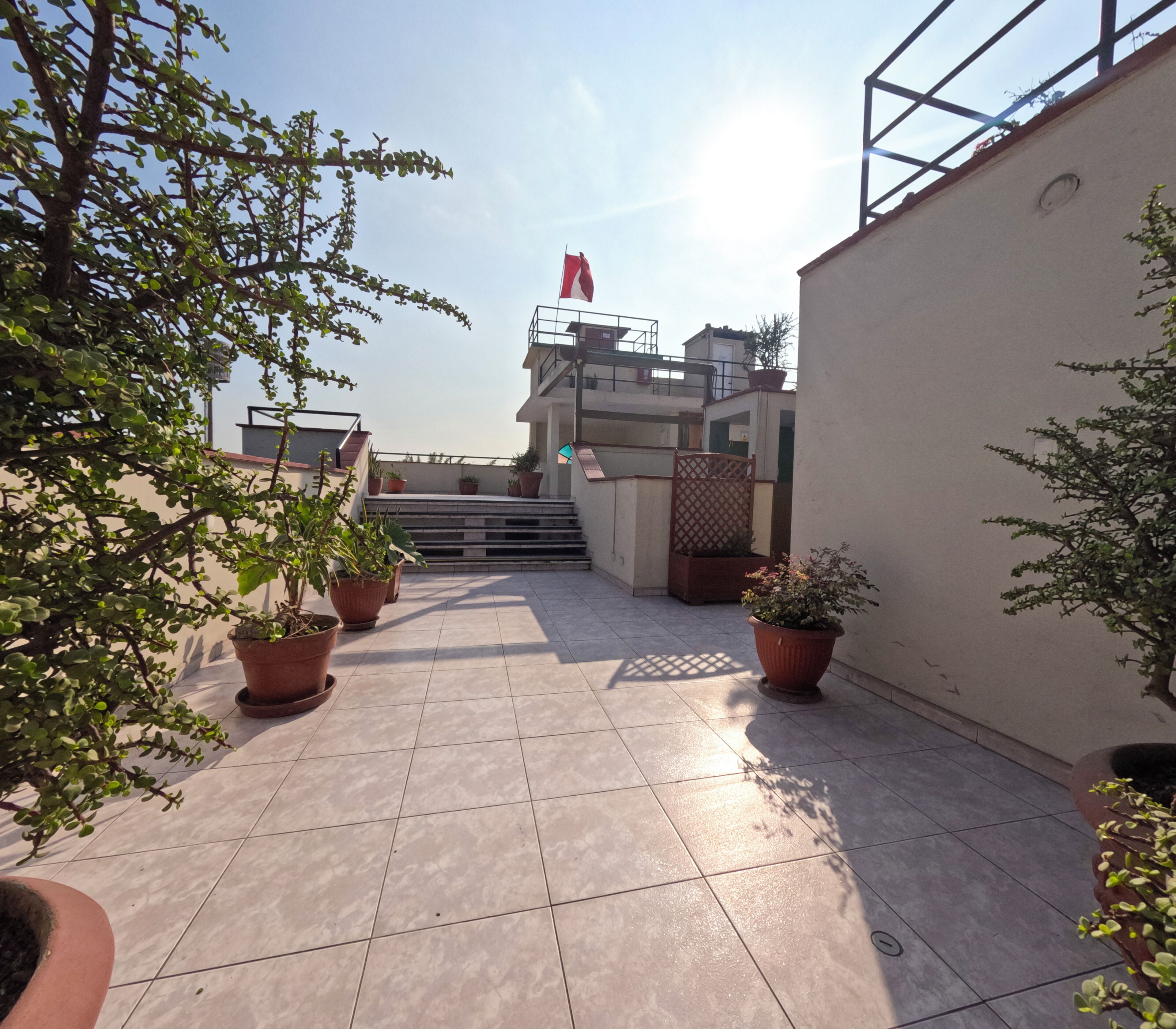 Une terrasse sur le toit agrémentée de plantes en pot, d’un drapeau et d’un escalier menant à un niveau supérieur.