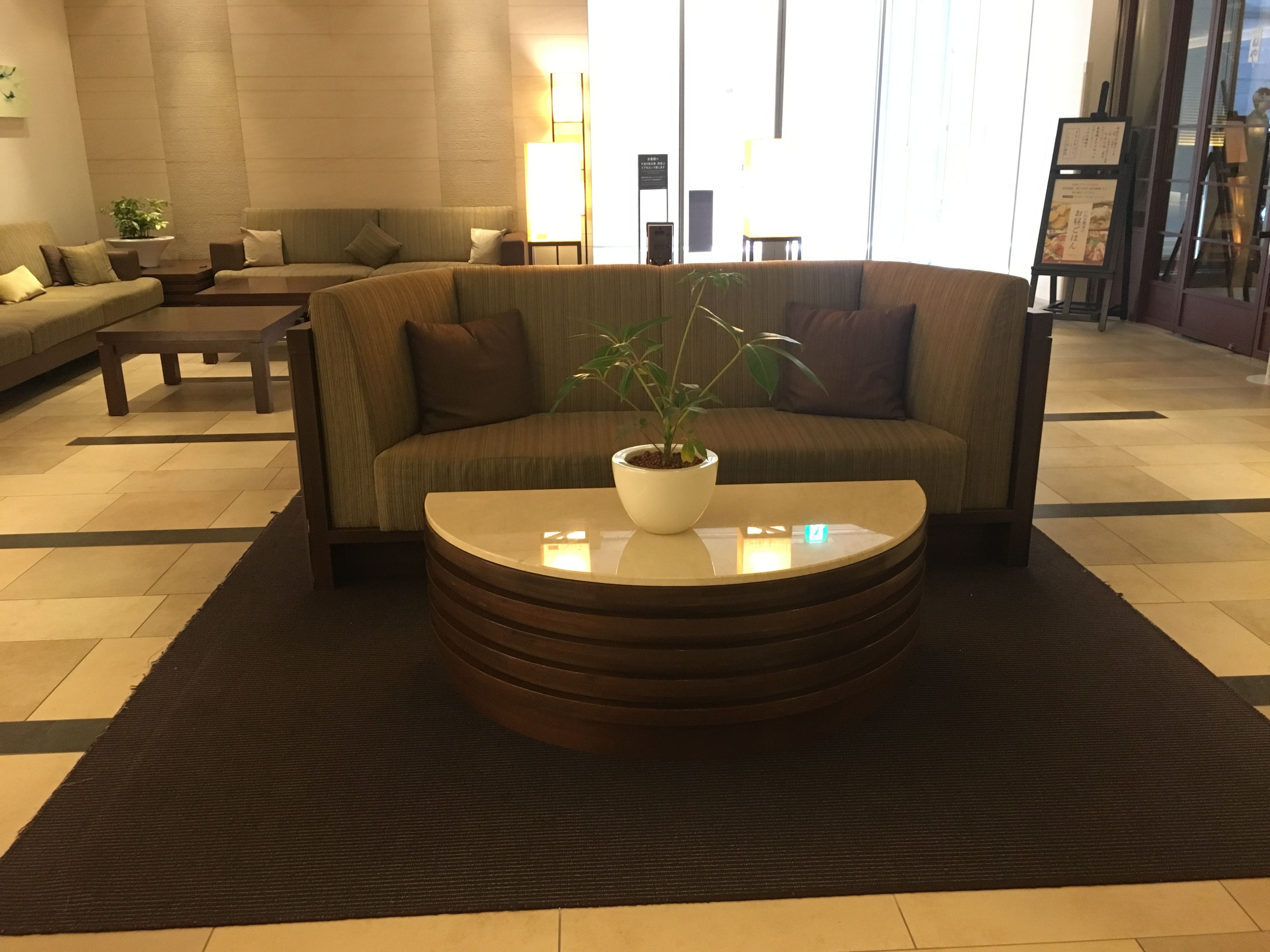 A modern living area with a sofa, a coffee table with a plant, and a patterned rug.