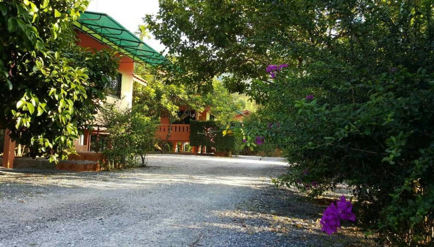 A gravel driveway leading to a building with a green roof, surrounded by lush greenery and purple flowers.