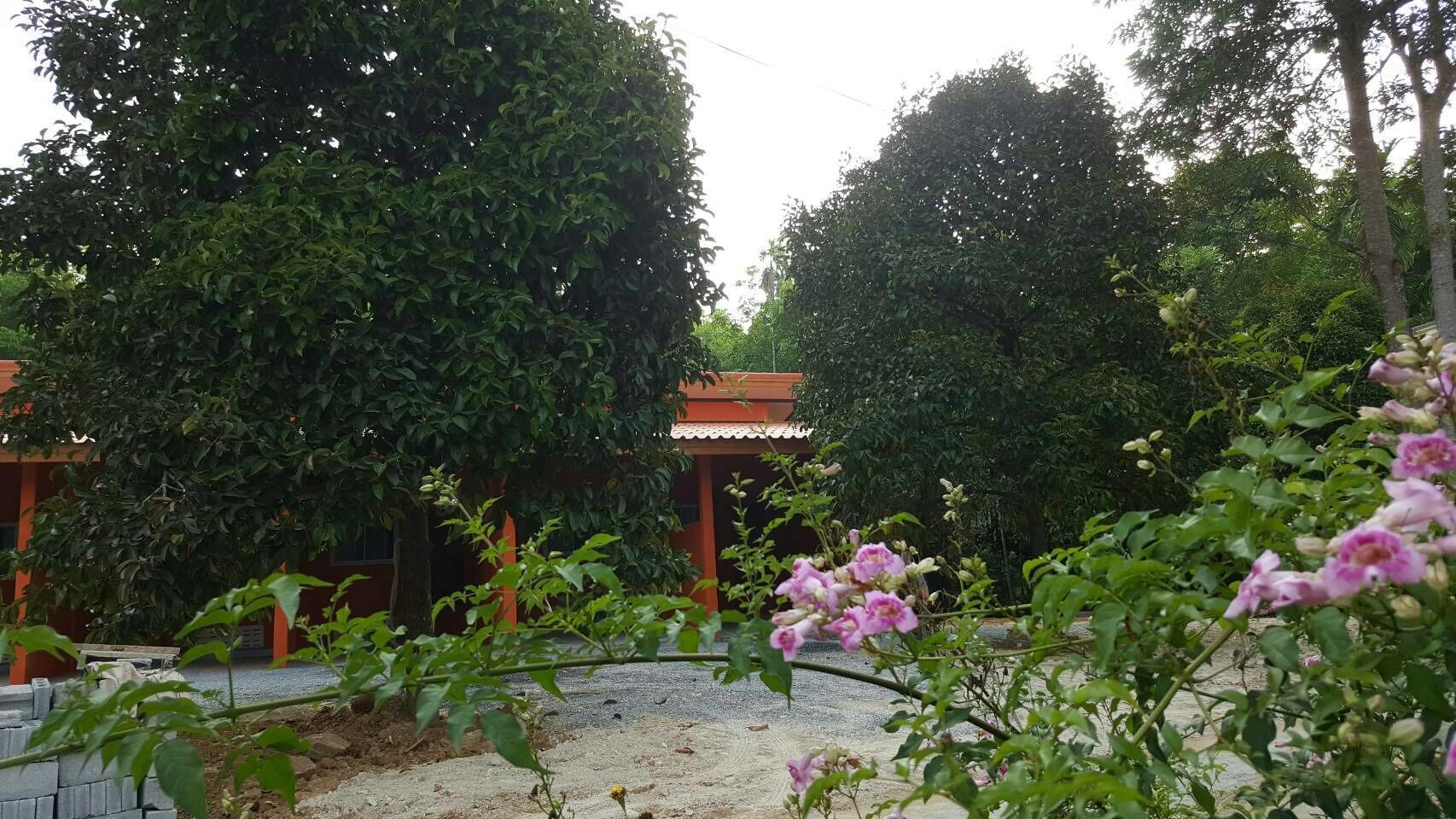 A garden with a gazebo, surrounded by dense foliage and flowering plants.
