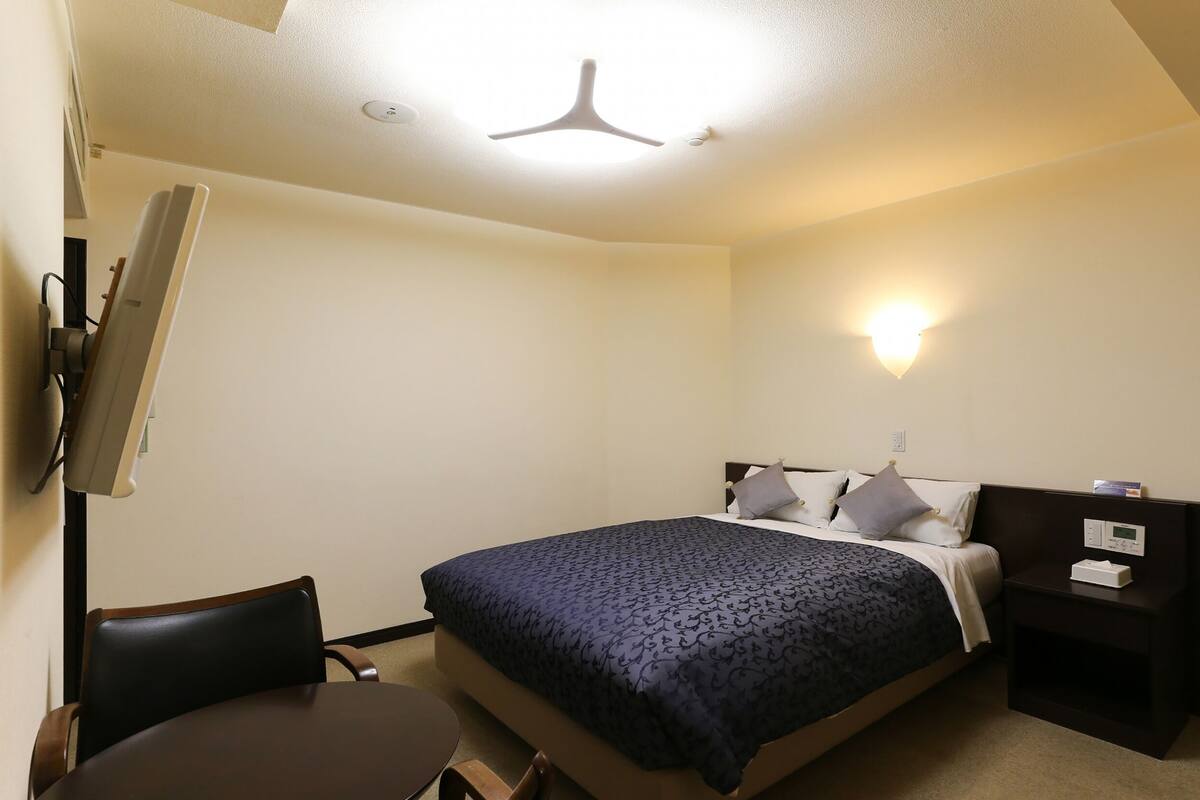 Habitación de hotel con una cama, un escritorio, una silla, un televisor montado en la pared y un ventilador de techo.