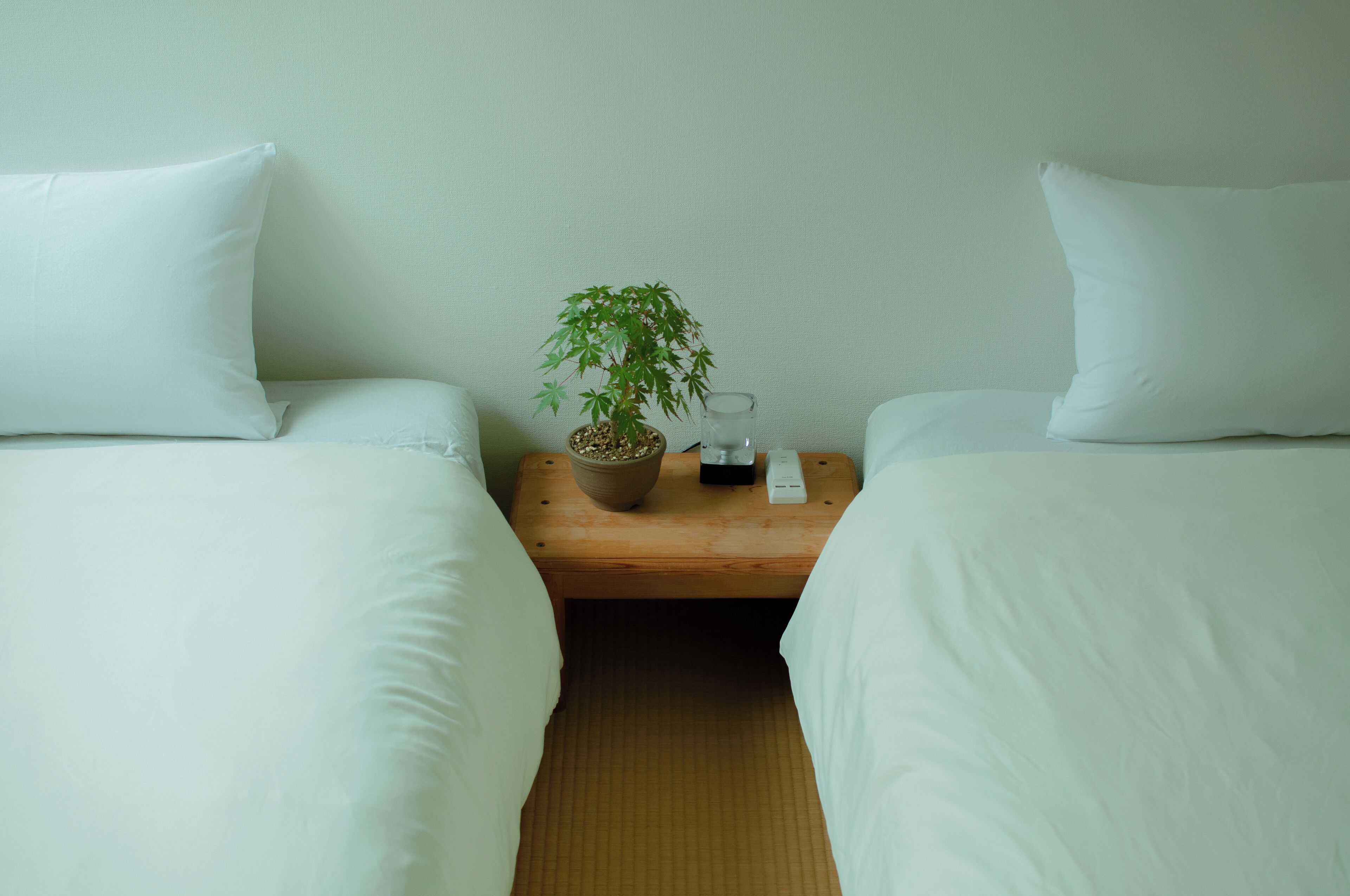 标准双床房, 无烟房 (with Twin bed) | 客房内保险箱、笔记本电脑工作区、遮光窗帘、熨斗/熨板