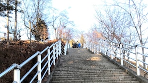 A set of stone steps with metal railings, leading up a hill. - Hostel Mt. Fuji-FUKUYA (Fujiyoshida)
