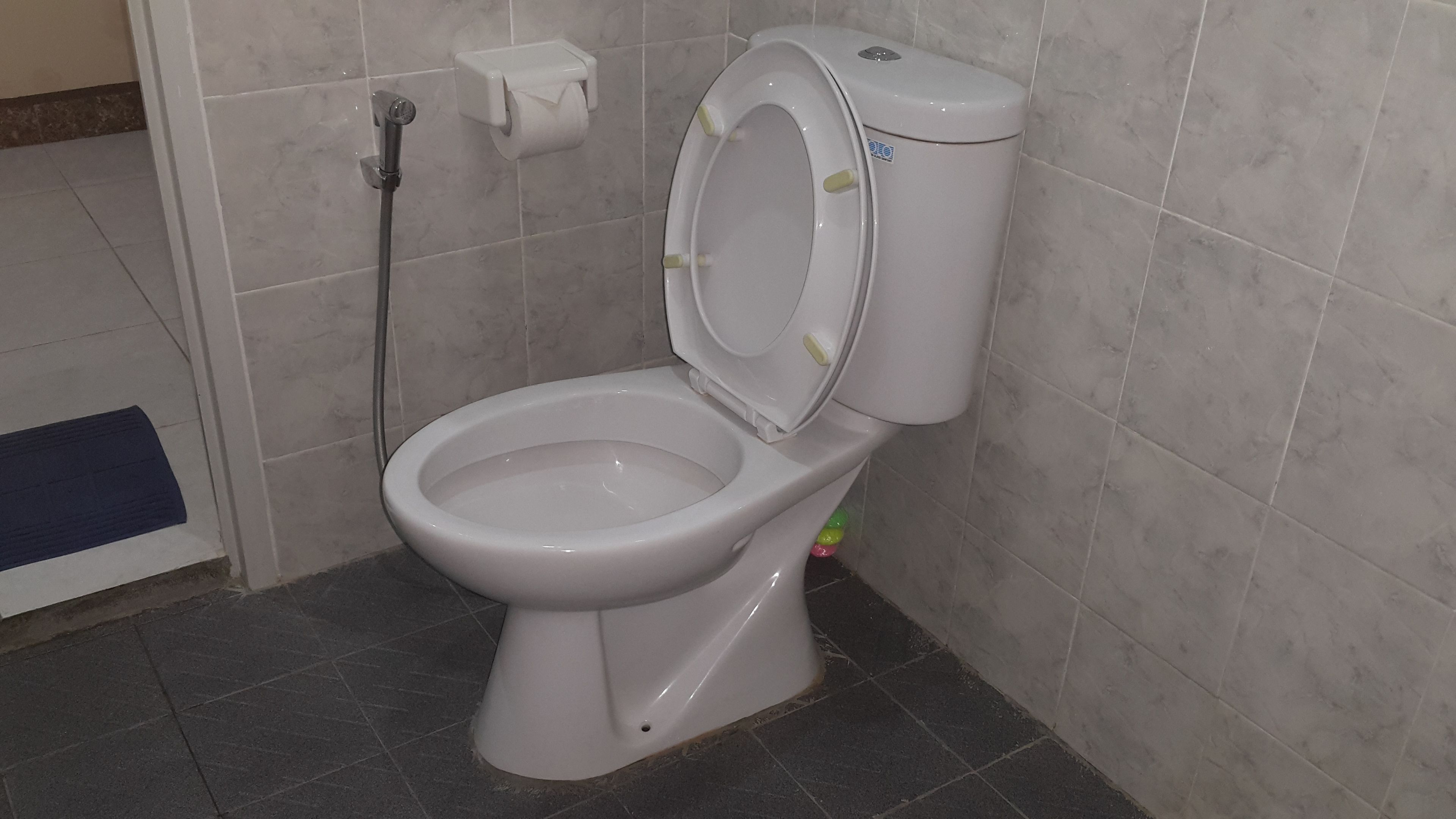 A white toilet with a closed lid, a toilet paper holder, and a bidet attachment.