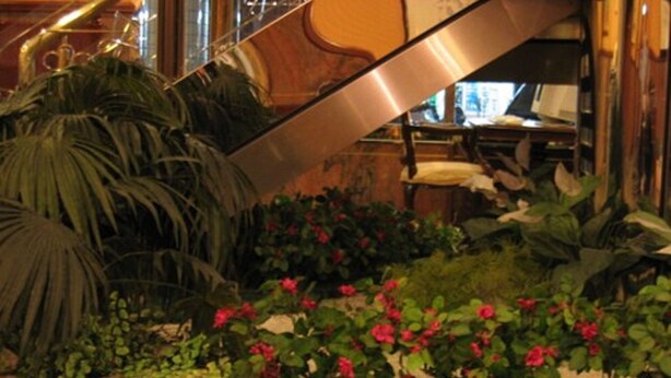 A staircase with a stone wall and plants. - Noble Hotel (Kaohsiung)