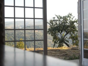 家庭公寓, 4 間臥室, 花園景觀, 山間 | 客房景觀