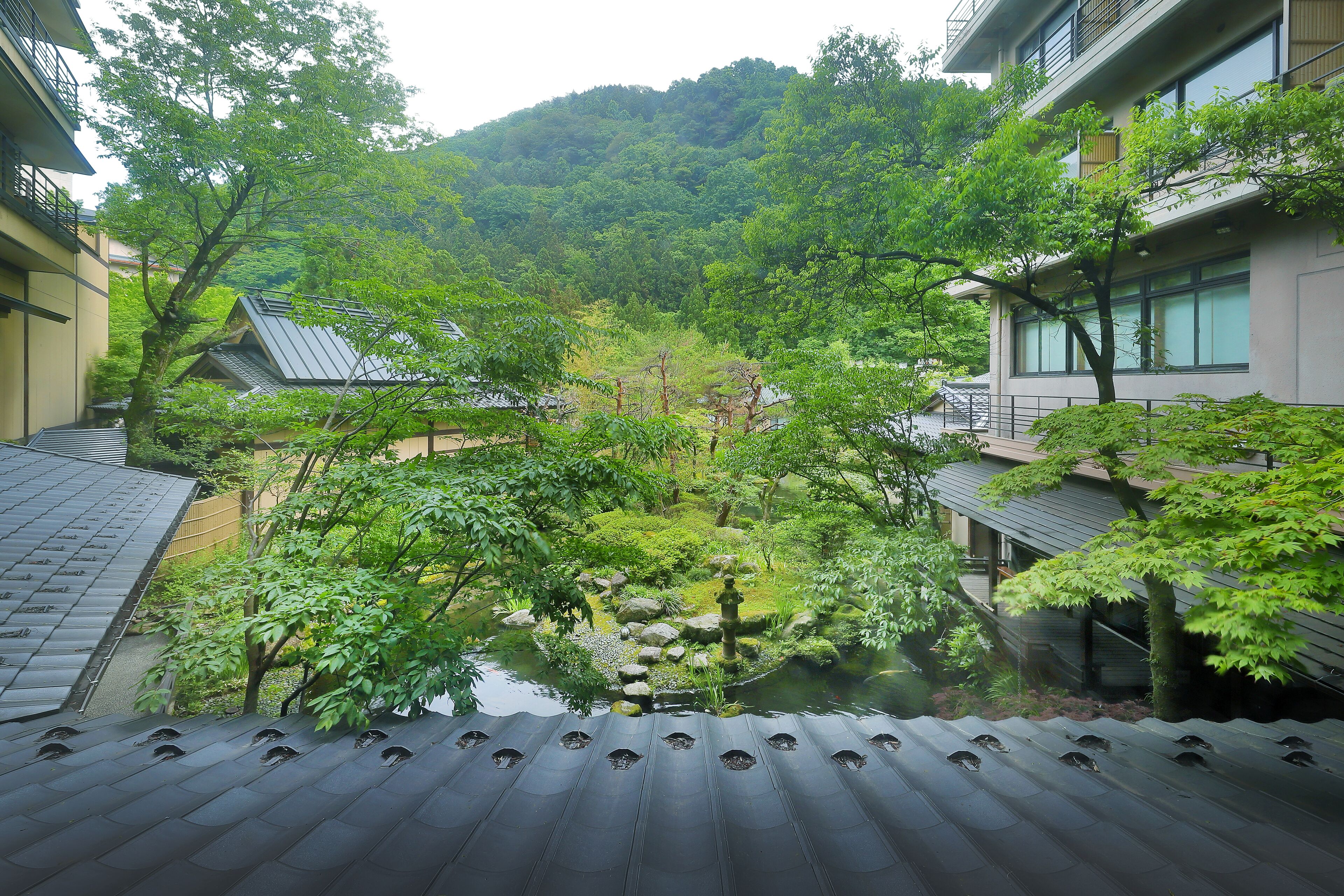 สวน