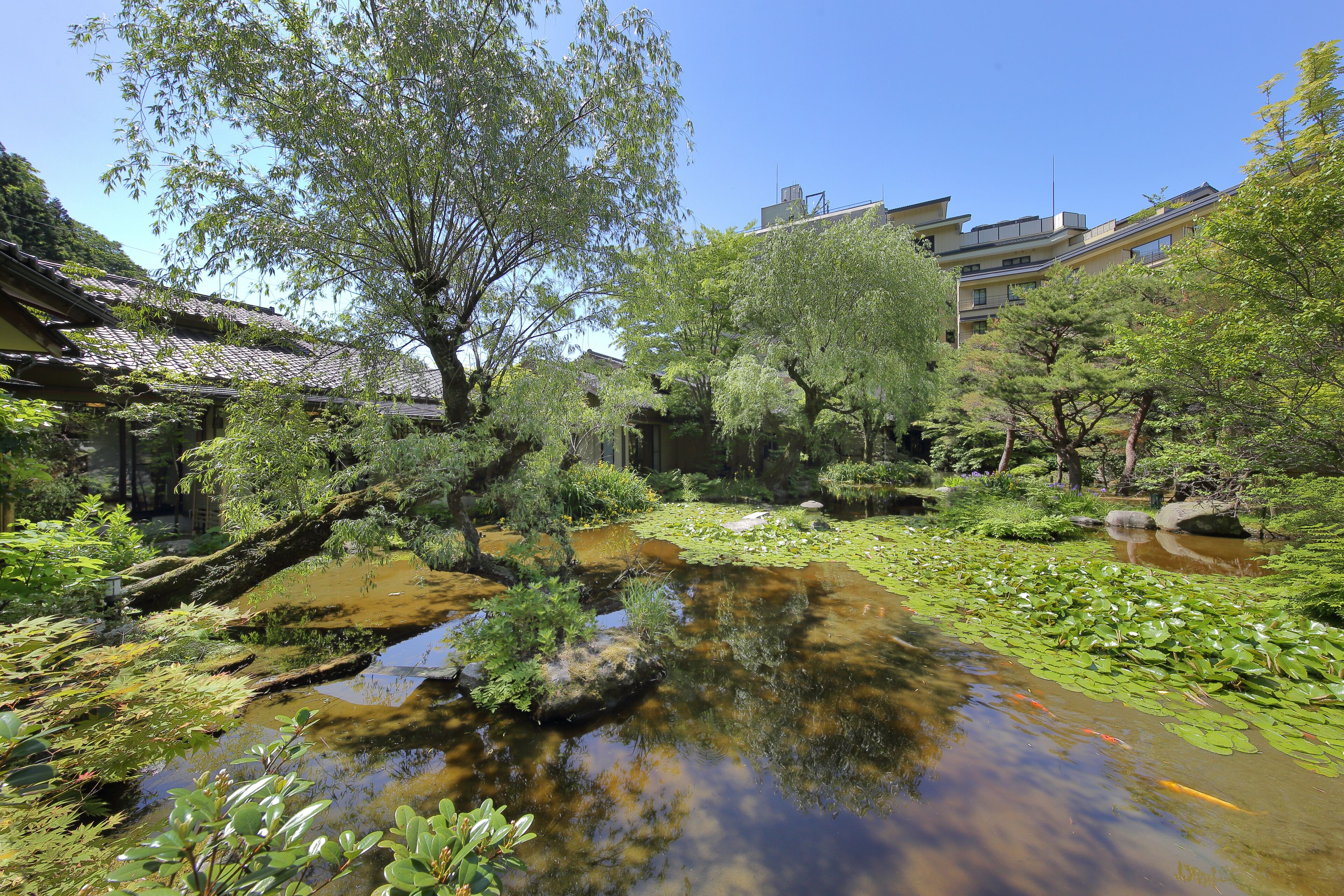 A traditional Japanese garden with a pond, koi fish, and various plants.