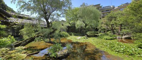 A traditional Japanese garden with a pond, koi fish, and various plants.