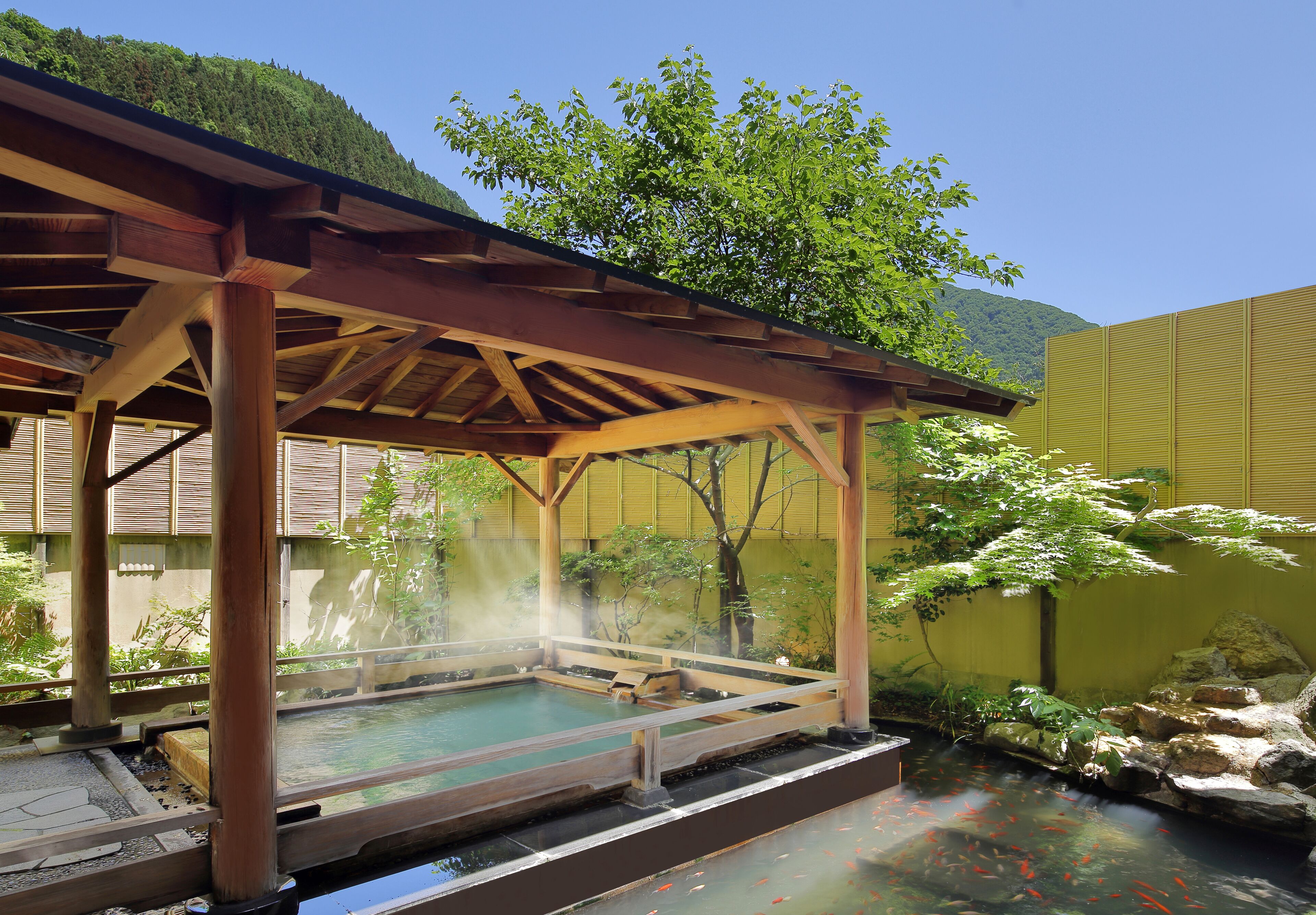 Ett traditionellt japanskt onsen med en träkonstruktion, en varm källa och en damm med koi-karpar.